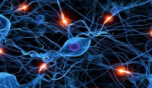 el sueño curiosidades